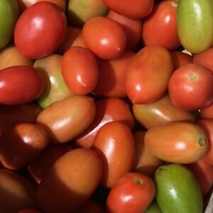 Tomate Italiano